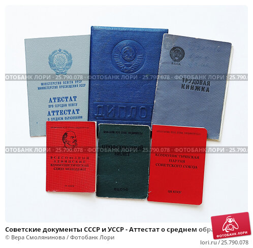 Высшее профессиональное образование Путь к успеху -520390435 Высшее профессиональное образование Путь к успеху -520390435